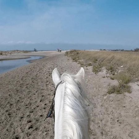 "La Pradeto" Gite Rural Camargue Arles Dış mekan fotoğraf