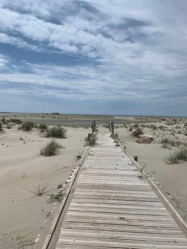 "La Pradeto" Gite Rural Camargue Arles Dış mekan fotoğraf