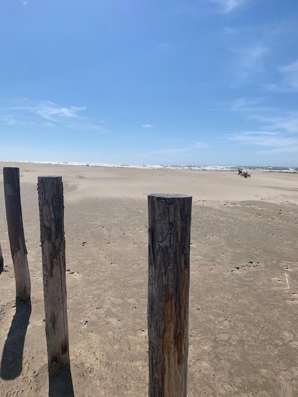 "La Pradeto" Gite Rural Camargue Arles Dış mekan fotoğraf